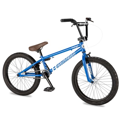 Eastern Bikes Lowdown 20-Inch Hi-Tensile Steel Freestyle BMX Bike for Beginners
