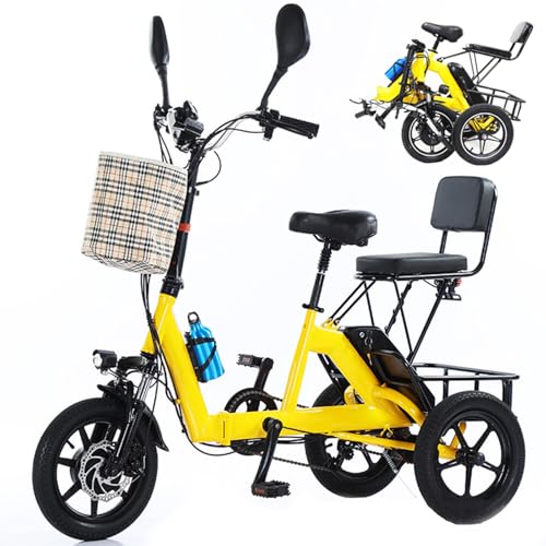 HpLNDas Folding Electric Adult Tricycle, 14-inch Wheels, Passenger Seat & Basket, 48V