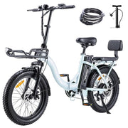 TWOFISH Folding Electric Bike: Adults, 36V Battery, 20-inch Fat Tires, Dual Seat