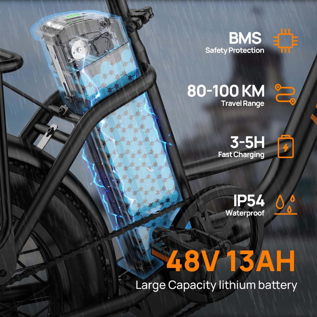 URLIFE 20" Fat Tire E-Bike: 250W Motor, 48V Battery, All-Terrain