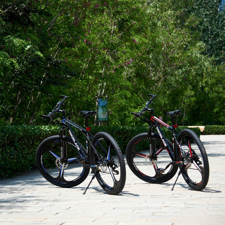 LSBIKE Adult All-Terrain Mountain Bike: 21-Speed, Dual Suspension, Disc Brakes