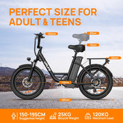 URLIFE 20" Fat Tire E-Bike: 250W Motor, 48V Battery, All-Terrain