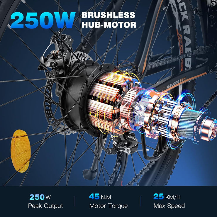 Fafrees Hailong One 26-inch Electric City Bike, 468Wh Battery, 250W Motor