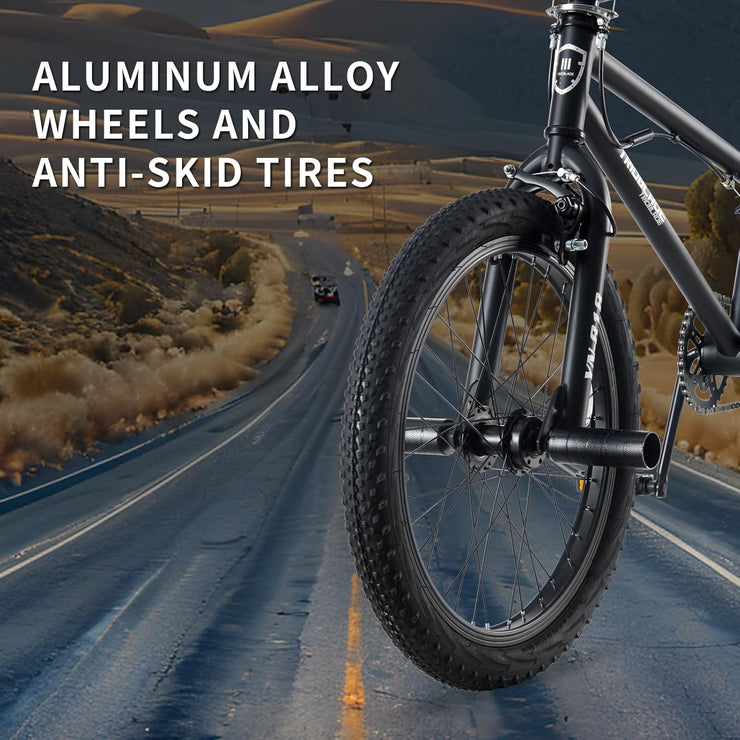 LSBIKE 20-inch Freestyle BMX Bike: 360° Handlebar, Steel Frame, Dual Brakes