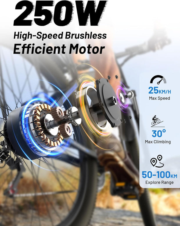 DUOTTS C29 29-inch Electric Mountain Bike: 48V 15Ah Battery, 250W Motor