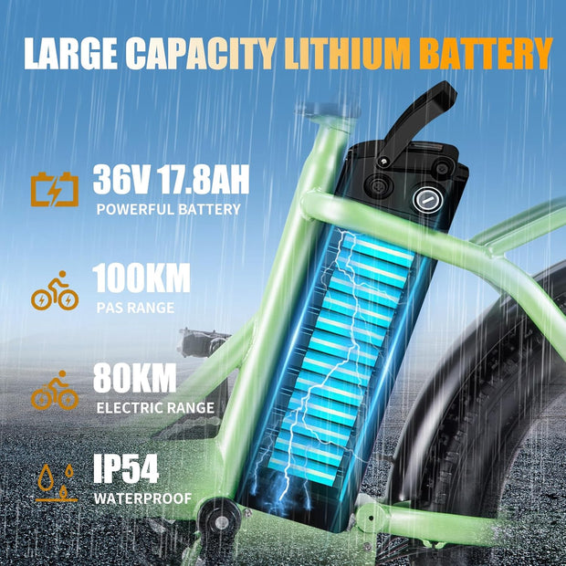 TWOFISH Folding Electric Bike: Adults, 36V Battery, 20-inch Fat Tires, Dual Seat