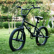 LSBIKE 20-inch Freestyle BMX Bike: 360° Handlebar, Steel Frame, Dual Brakes