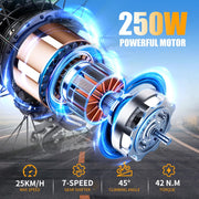 TWOFISH Folding Electric Bike: Adults, 36V Battery, 20-inch Fat Tires, Dual Seat